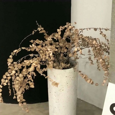 金塔FurryQQ群介绍